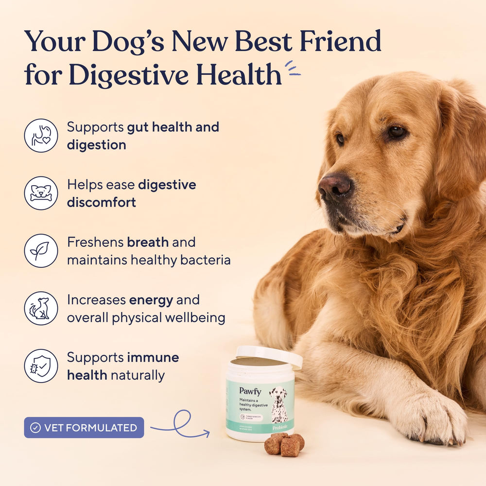 Pawfy Probióticos para diarrea canina y equilibrio del intestino.