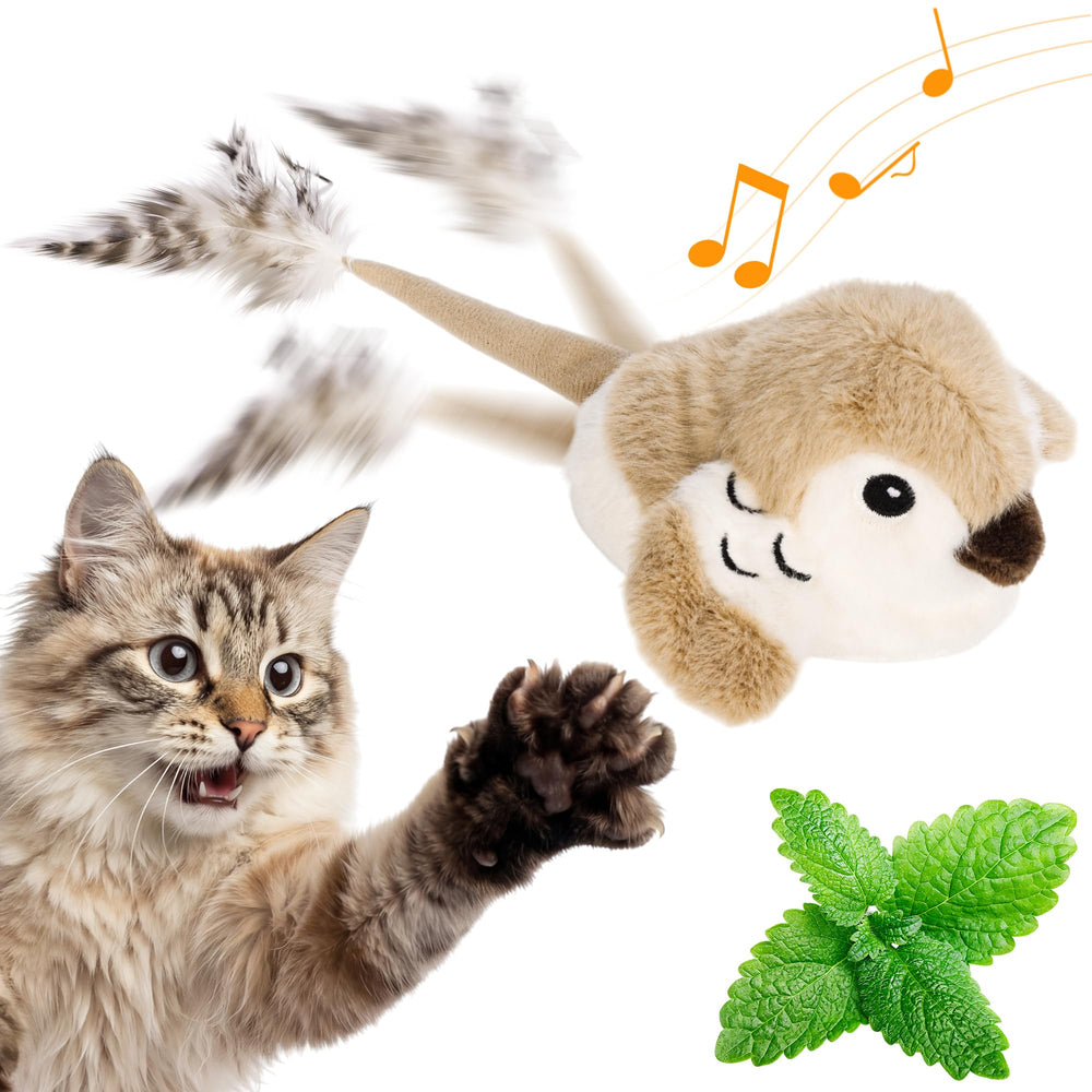 Pawingcat Juguete: pajaro-chirrido interactivo para estimular la caza.