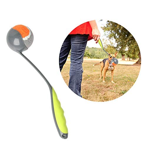PAWISE bola tenis 2,5 pulgadas ideal para perros pequeños y medianos.