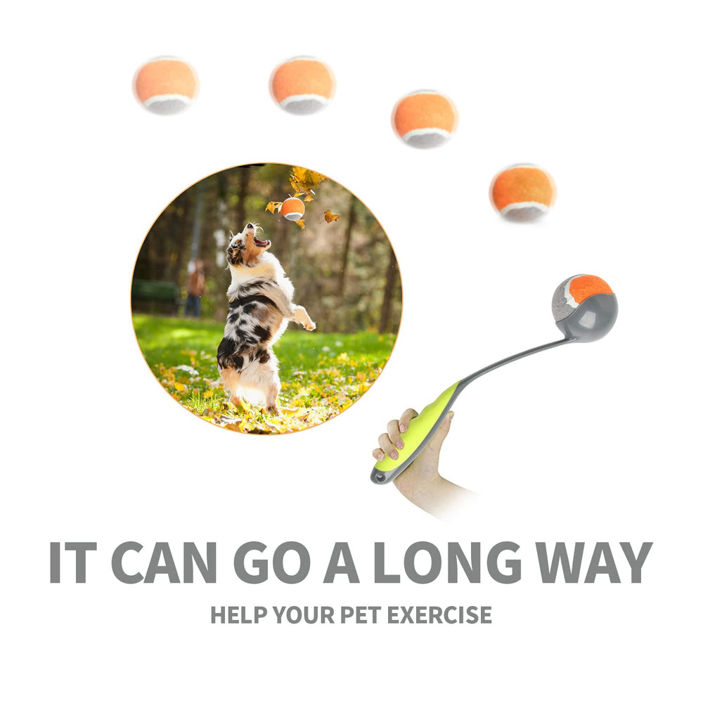 PAWISE opción ideal para perros pequeños y medianos.