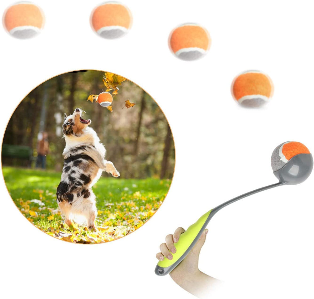 PAWISE lanzador de bolas para perros, compacto y portátil para juego al aire libre.