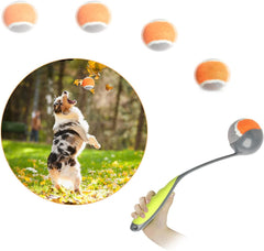 PAWISE lanzador de bolas para perros, compacto y portátil para juego al aire libre.