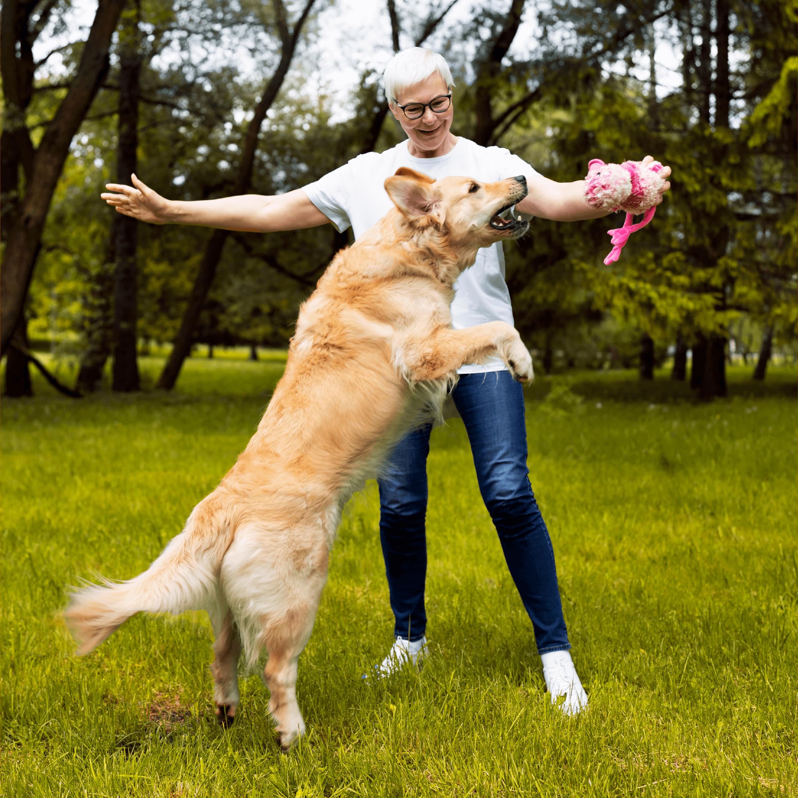 Fórmula de precisión Pawlabs G-Max para flexibilidad articular.