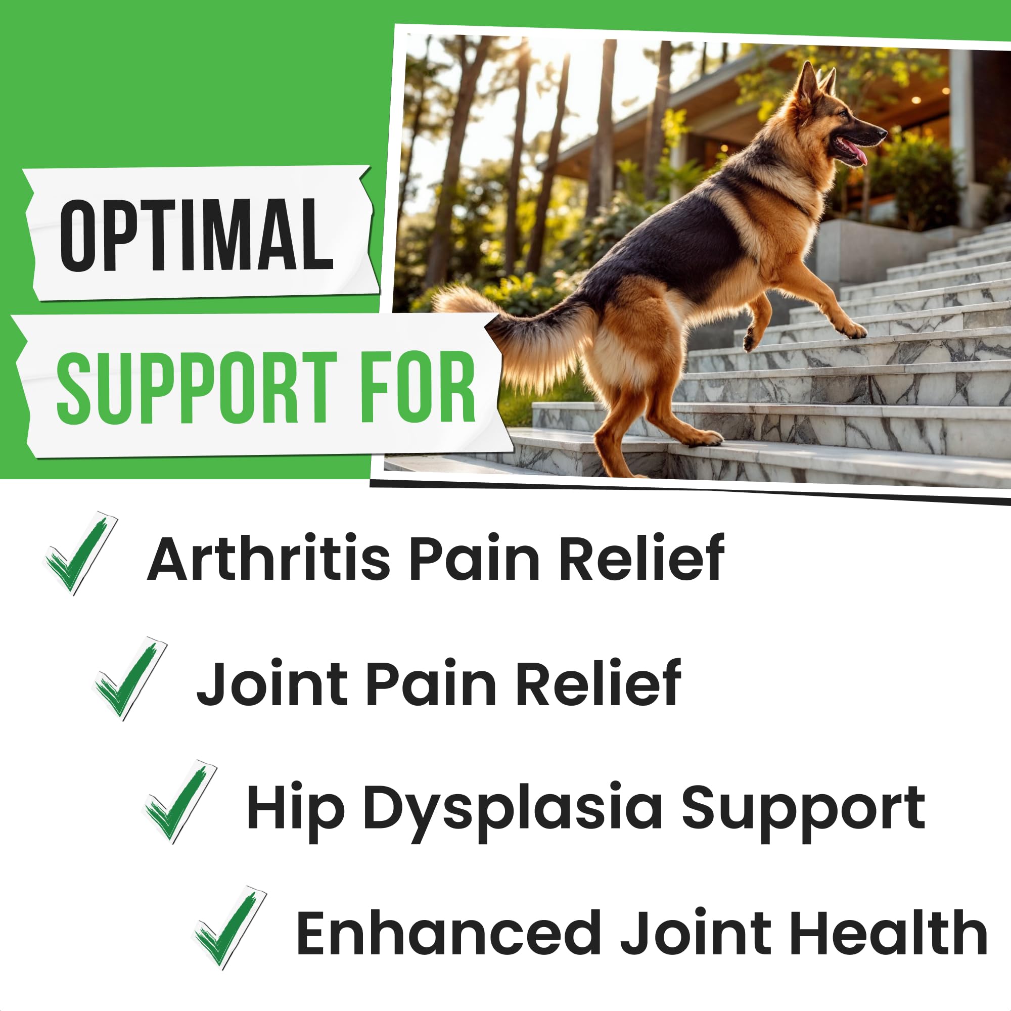 Pawsential glucosamina para perros, masticables en mano, sabor agradable.