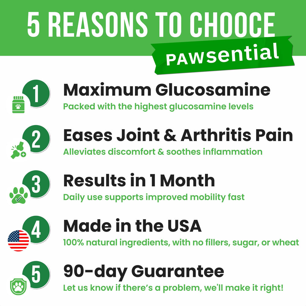 Pawsential glucosamina para perros, primer plano de la textura, premio diario para articulaciones.