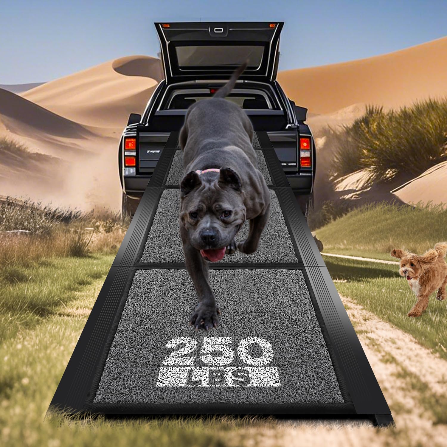 Rampa Pawlify para perro 71x17 facilita subir al coche con seguridad