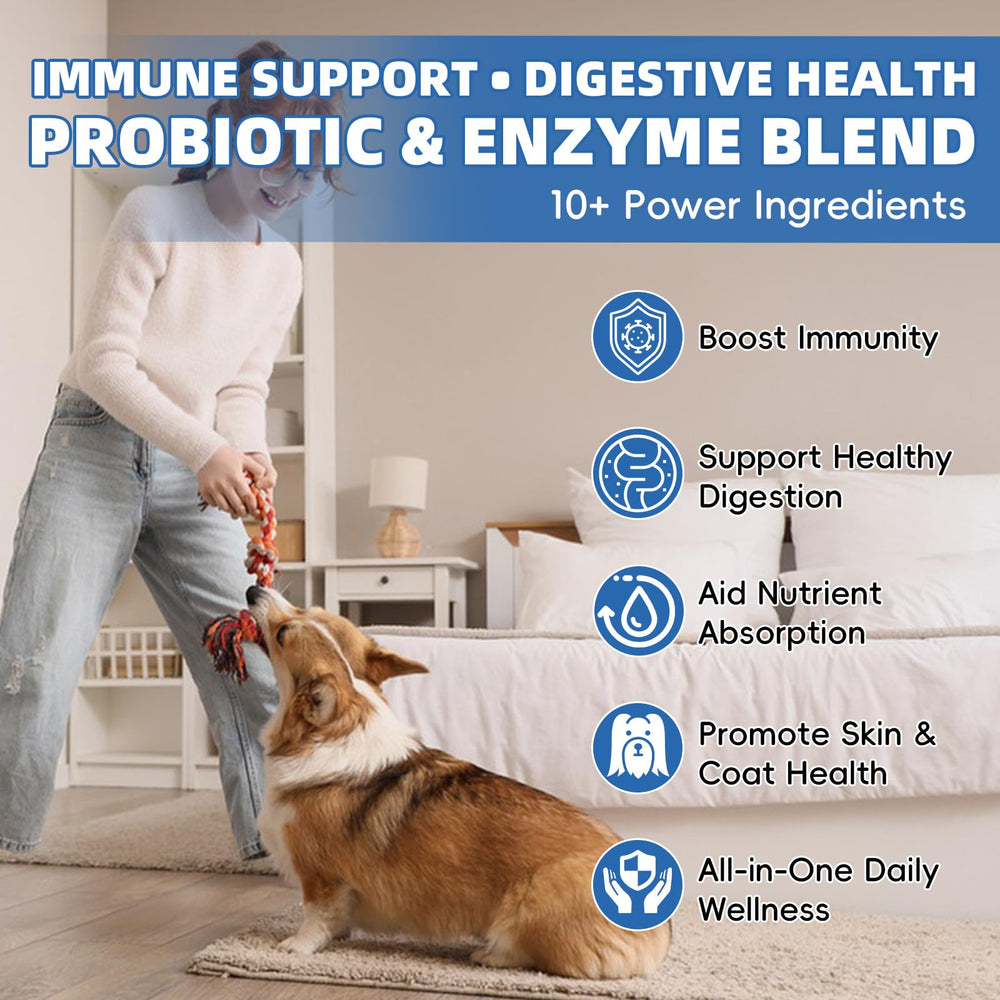 Pawlooza Probiotics: raíz de diente de león para detox suave.