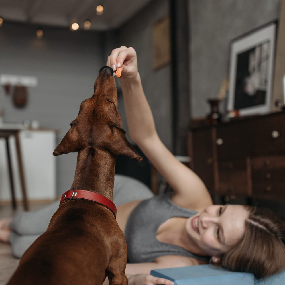 Higiene dental con patata dulce Pawmate, cuidado básico de dientes