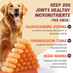 Recompensa sabrosa con Pawmate para perros en entrenamientos, sabor natural.