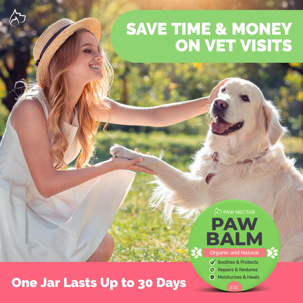 Protección frente al calor del asfalto con Paw Nectar en verano.