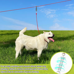 PAWNISAW conjunto de accesorios para sujeción exterior de perro