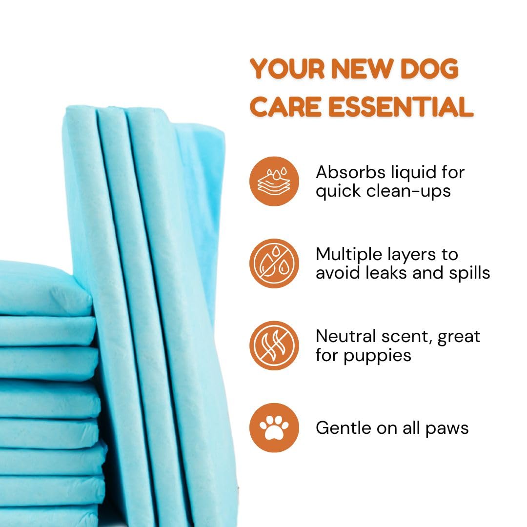Pawpha UltraCare: absorción-5-capas que retienen humedad para pisos limpios