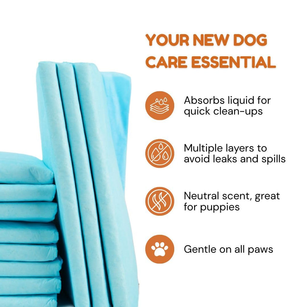 Pawpha UltraCare: absorción-5-capas que retienen humedad para pisos limpios