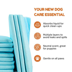 Pawpha UltraCare: absorción-5-capas que retienen humedad para pisos limpios