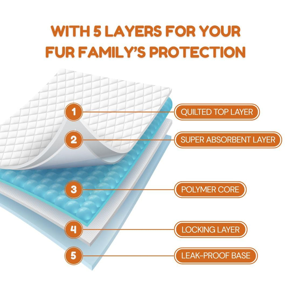 Pawpha UltraCare: sin-olor, mantiene el hogar fresco y agradable