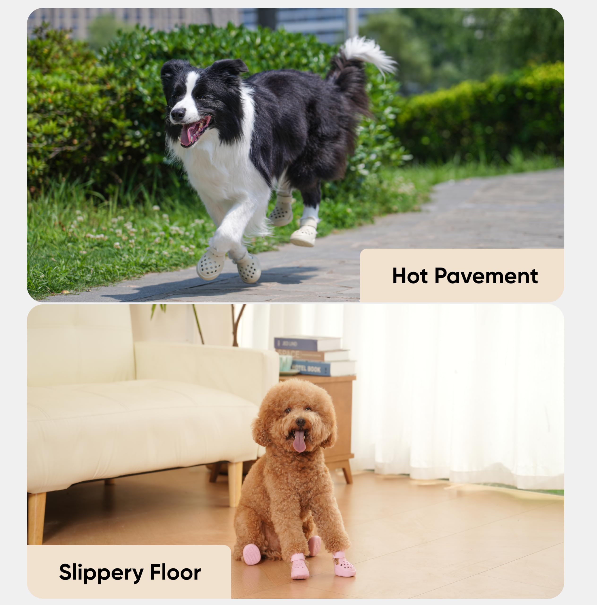 PawPosh, protección de patas en todo clima durante caminatas.