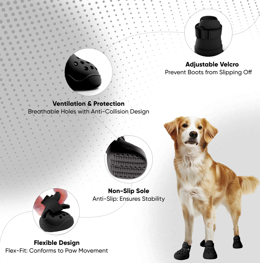 PawPosh Protección para todo clima, resistente al agua para paseos seguros.