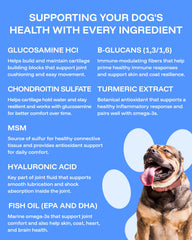 Pawprint Lab protocolo Omega-3 aceite de pescado: piel sana.