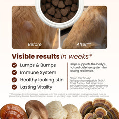 PAWPULSE FORMULA hongo cola de pavo para perros favorece respuestas inmunes equilibradas