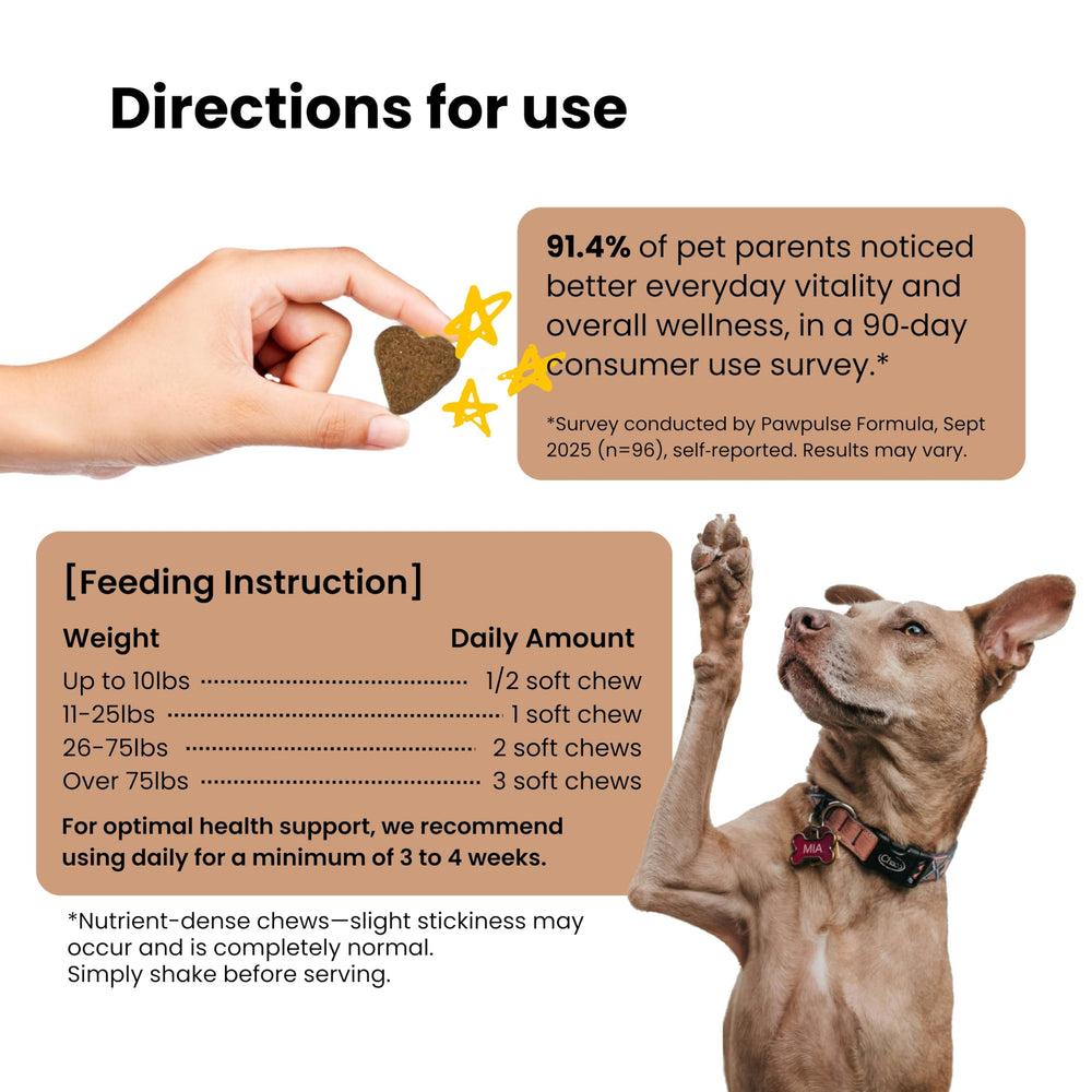 PAWPULSE FORMULA hongo shiitake para perros piel y tejido saludable