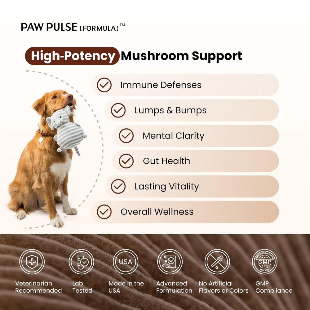 PAWPULSE FORMULA masticables para perros con sabor agradable y bienestar diario