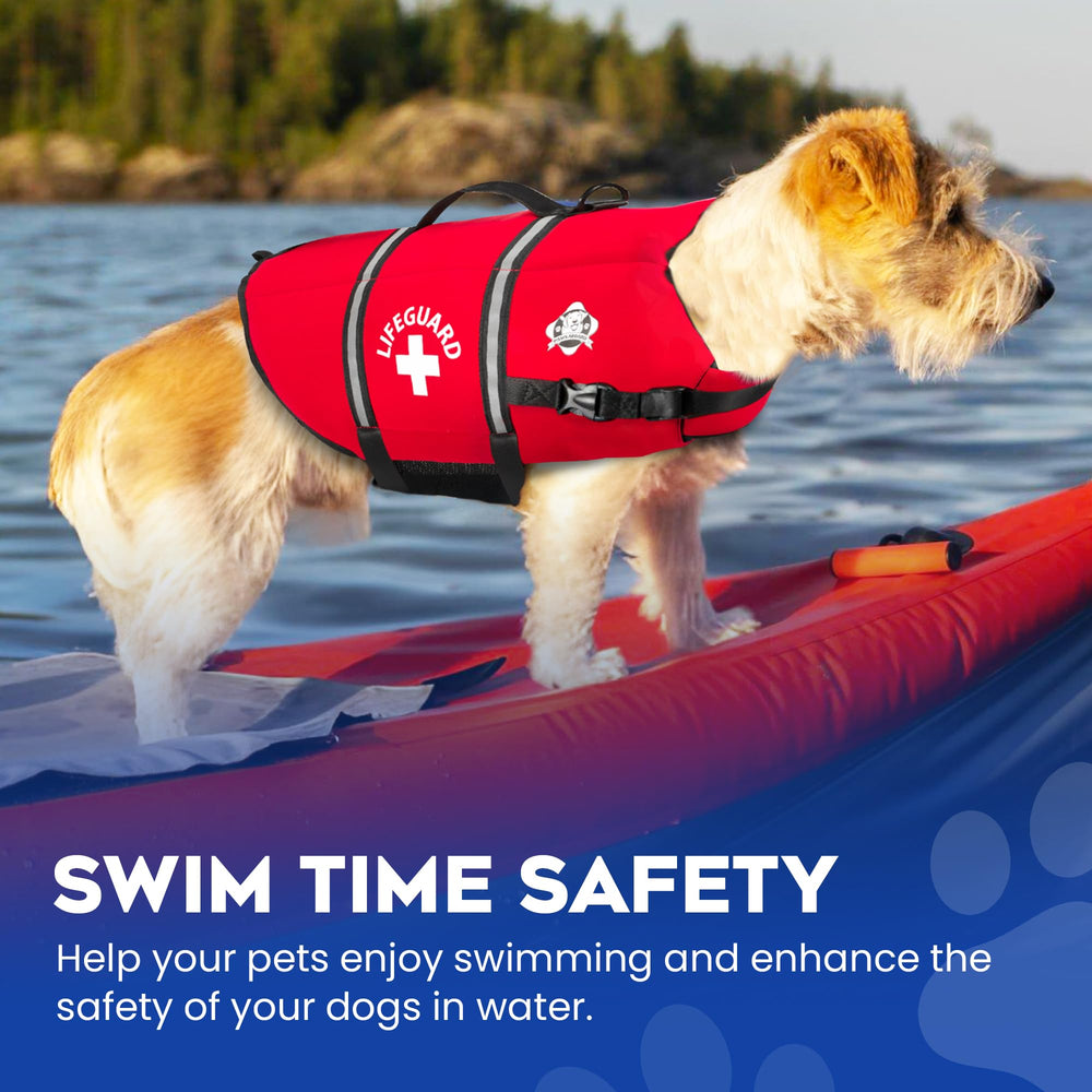 Diseño Paws Aboard en colores y patrones modernos para paseos atractivos
