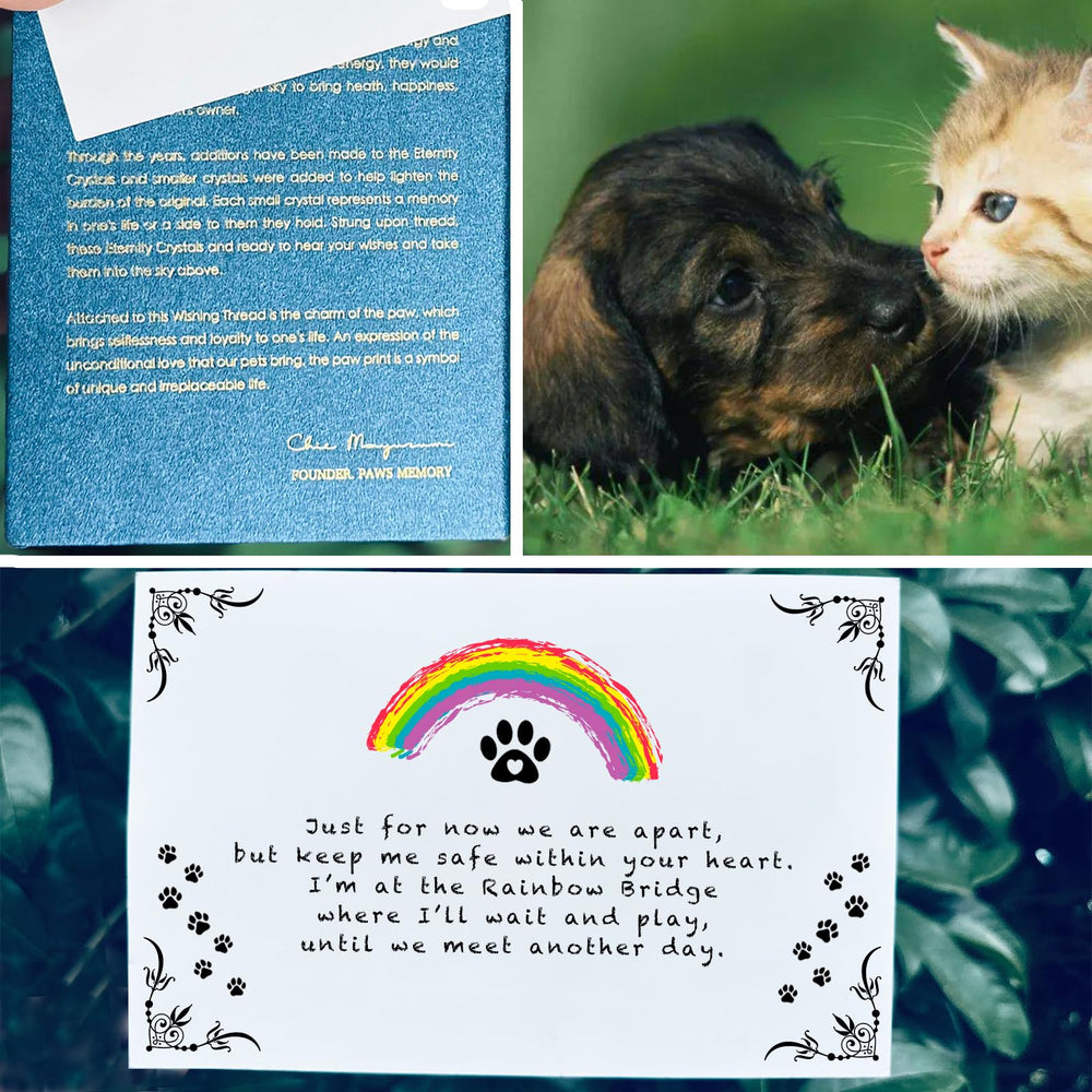 Paws Memory: arcoíris-para-ventana, decoración duradera en interior o exterior.