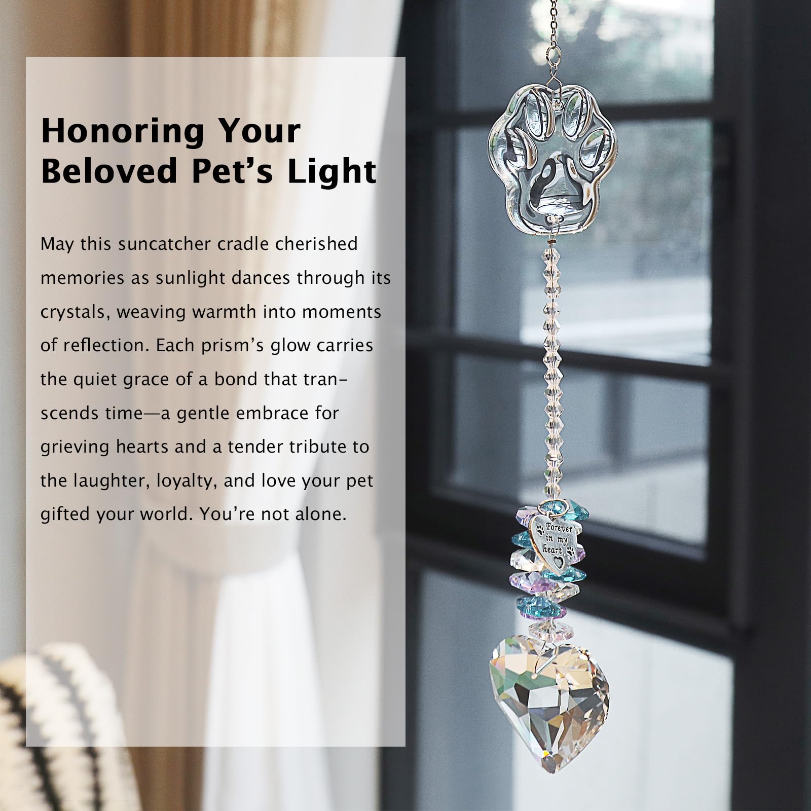 Paws Memory: diseño-ideal-para-amantes-de-perros-gatos, recuerdo permanente.
