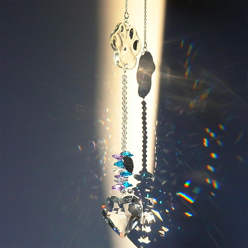 Paws Memory: interiores-exteriores, brillo en interiores y exteriores.