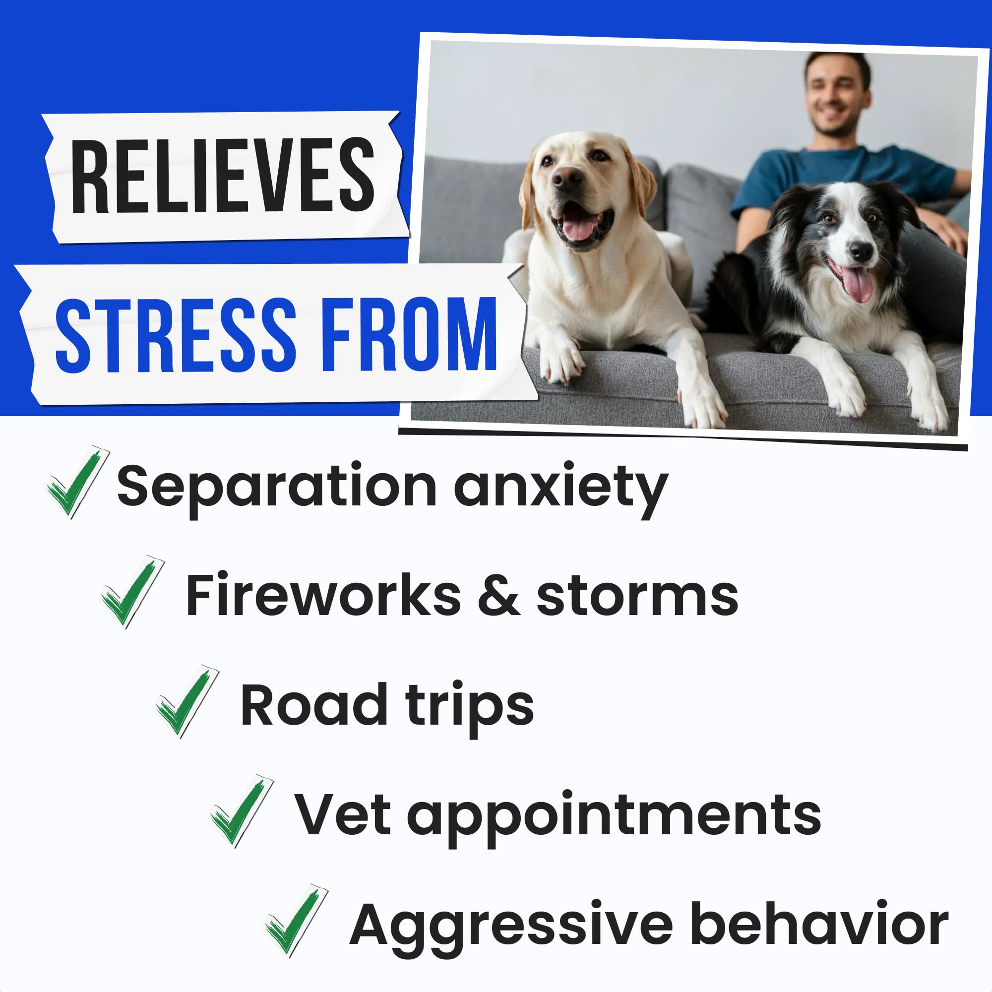 Pawsential primer plano de gomitas calmantes para perros, promoviendo la tranquilidad en casa