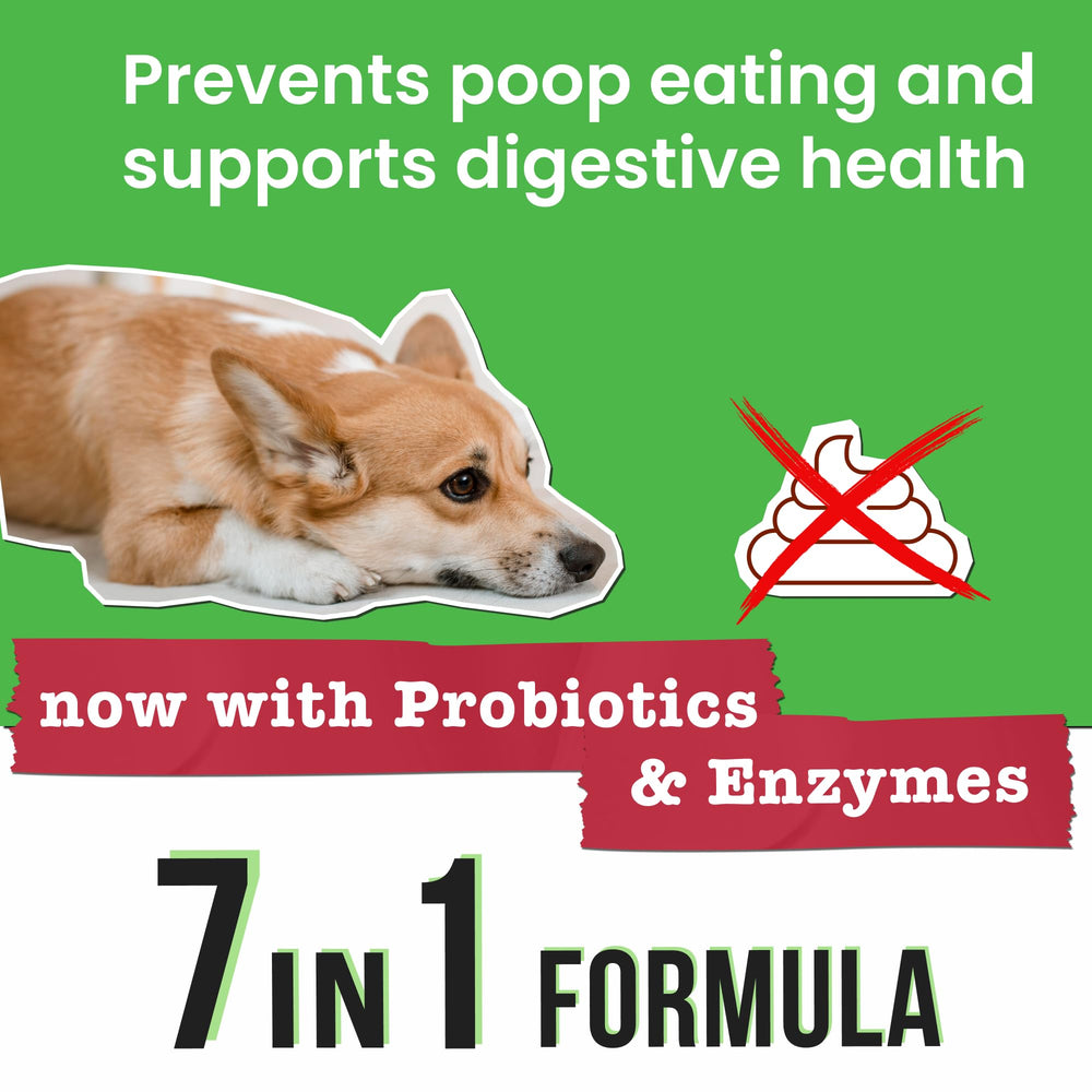 Pawsential No Poo contiene enzimas digestivas para mejor absorción.
