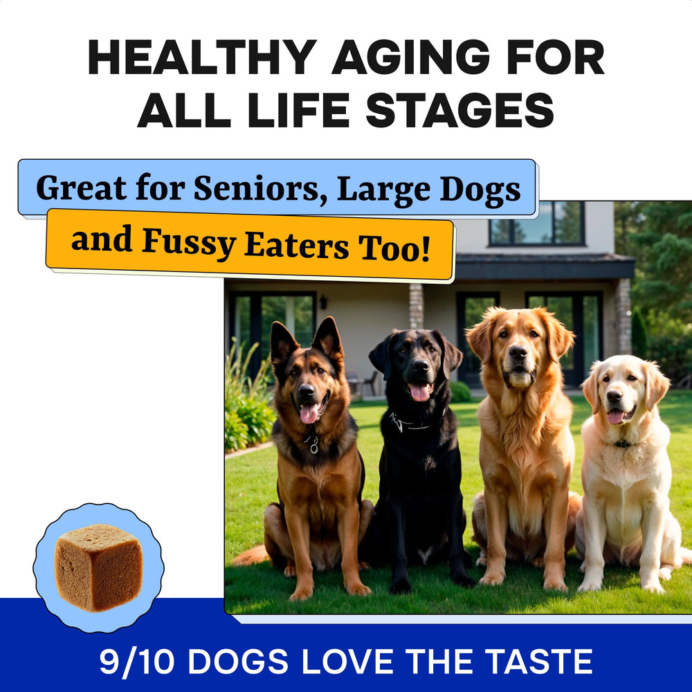 Pawsential razas-grandes-y-pequenas-perro-masticables: apto para todas las tallas.