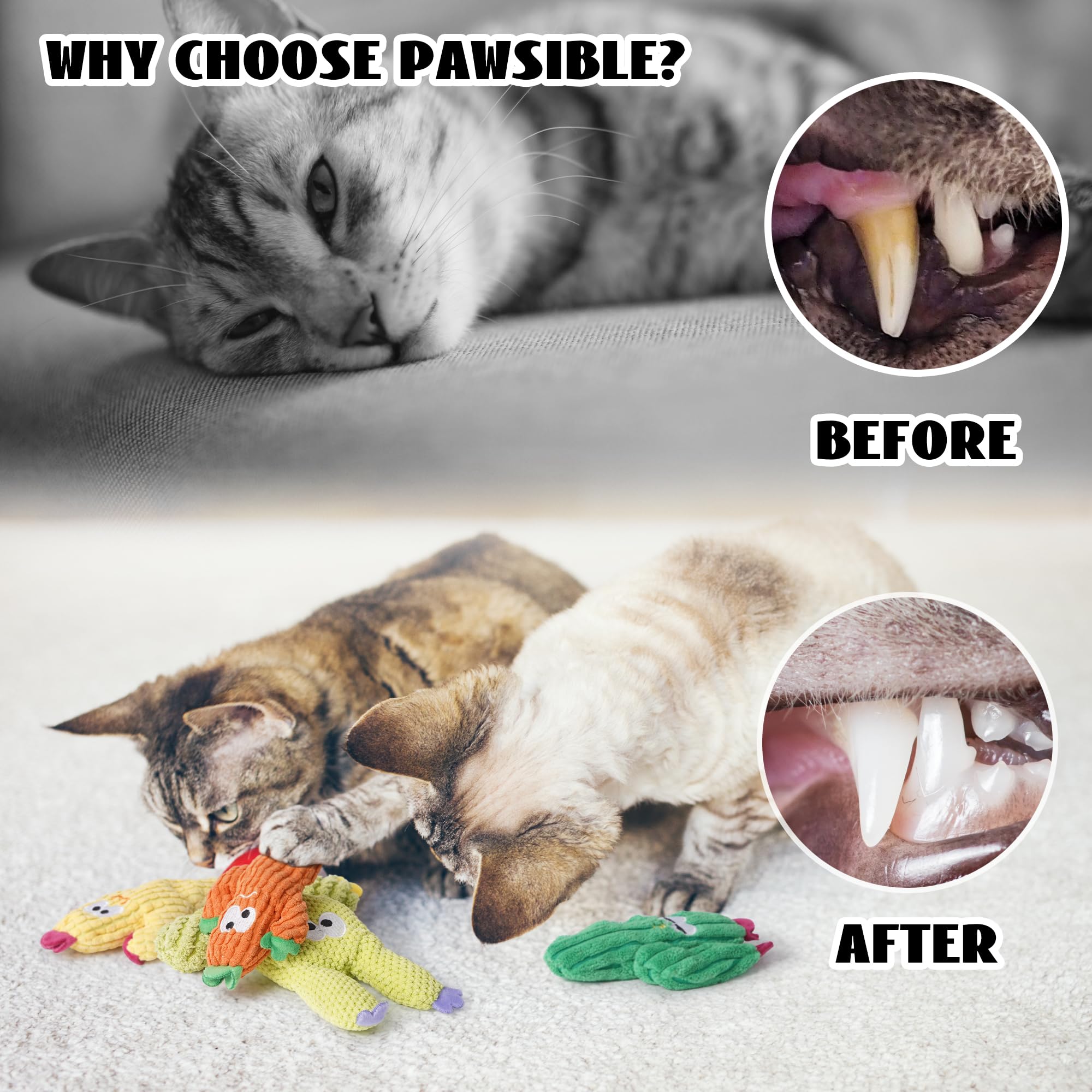 Pawsible juguete cactus suave y duradero, resistente a mordidas.