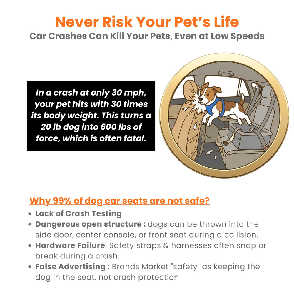 PawsInCar: sistema de seguridad que absorbe fuerzas durante trayectos