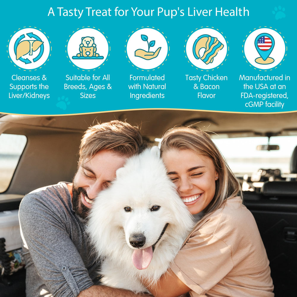 Pawsitive Wanderfound detox para riñones, formato de bocaditos, uso diario recomendado.