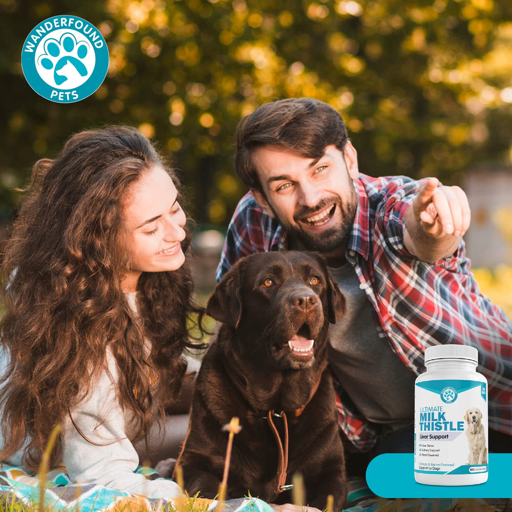 Pawsitive Wanderfound Pets Milk Thistle: ingredientes clave como cardo mariano y alcachofa.