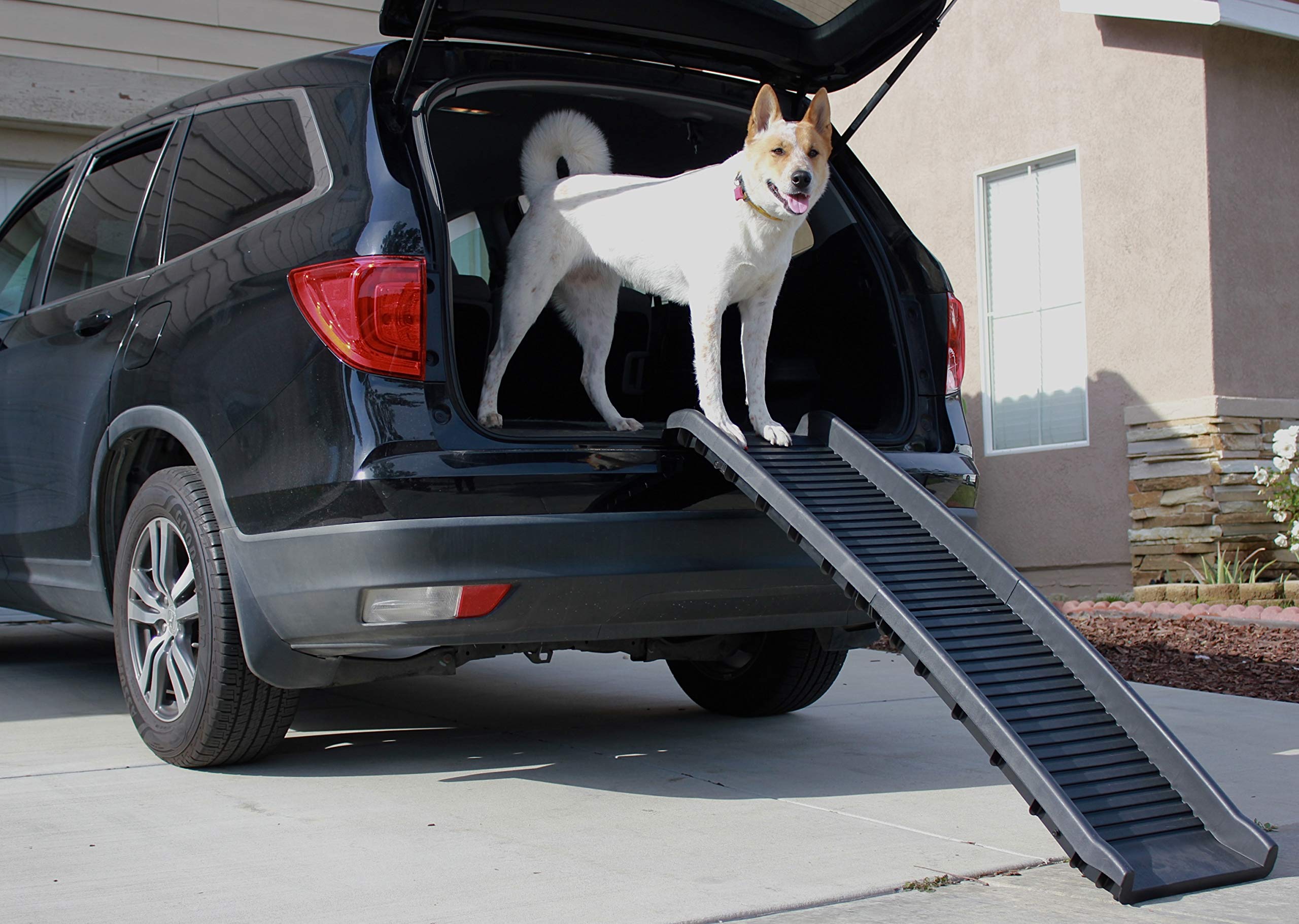 PawStep bordes elevados guían el paso de la mascota