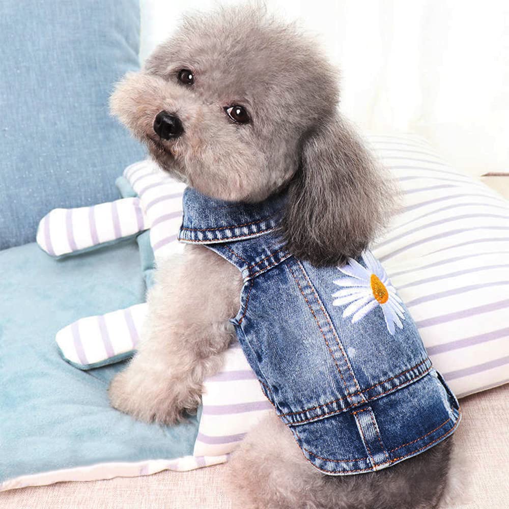 Solapa y cuello clásico en chaqueta Pawstrip para un look pulido.