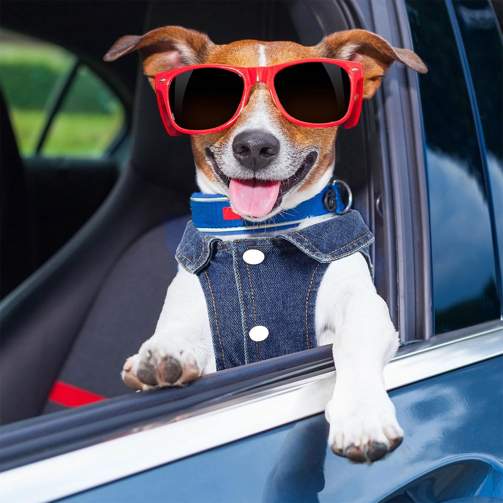 Lavable a máquina para un cuidado práctico con Pawstrip.
