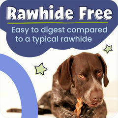Pawstruck Palitos de res, 100% natural, sin aditivos