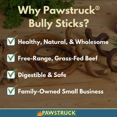 Pawstruck espirales de palitos de res, detalle de durabilidad para masticar