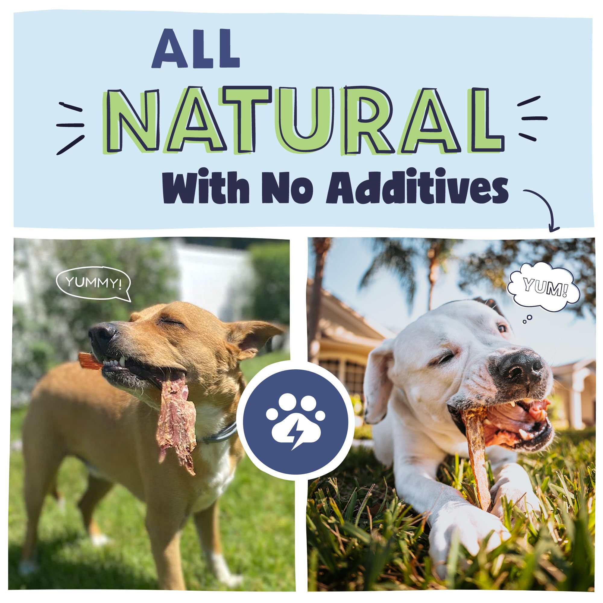 Pawstruck ingredientes naturales sin granos, apto para perros con sensibilidad