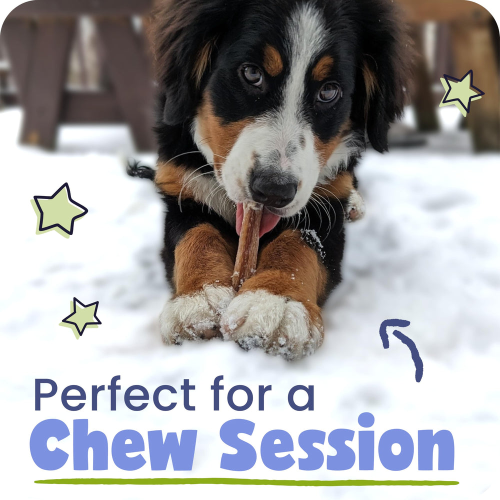 Pawstruck res 100% proteína, ingrediente único para perros exigentes.