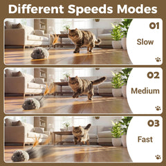 Pawthquake modo RC interactivo para fortalecer vínculo humano-gato.