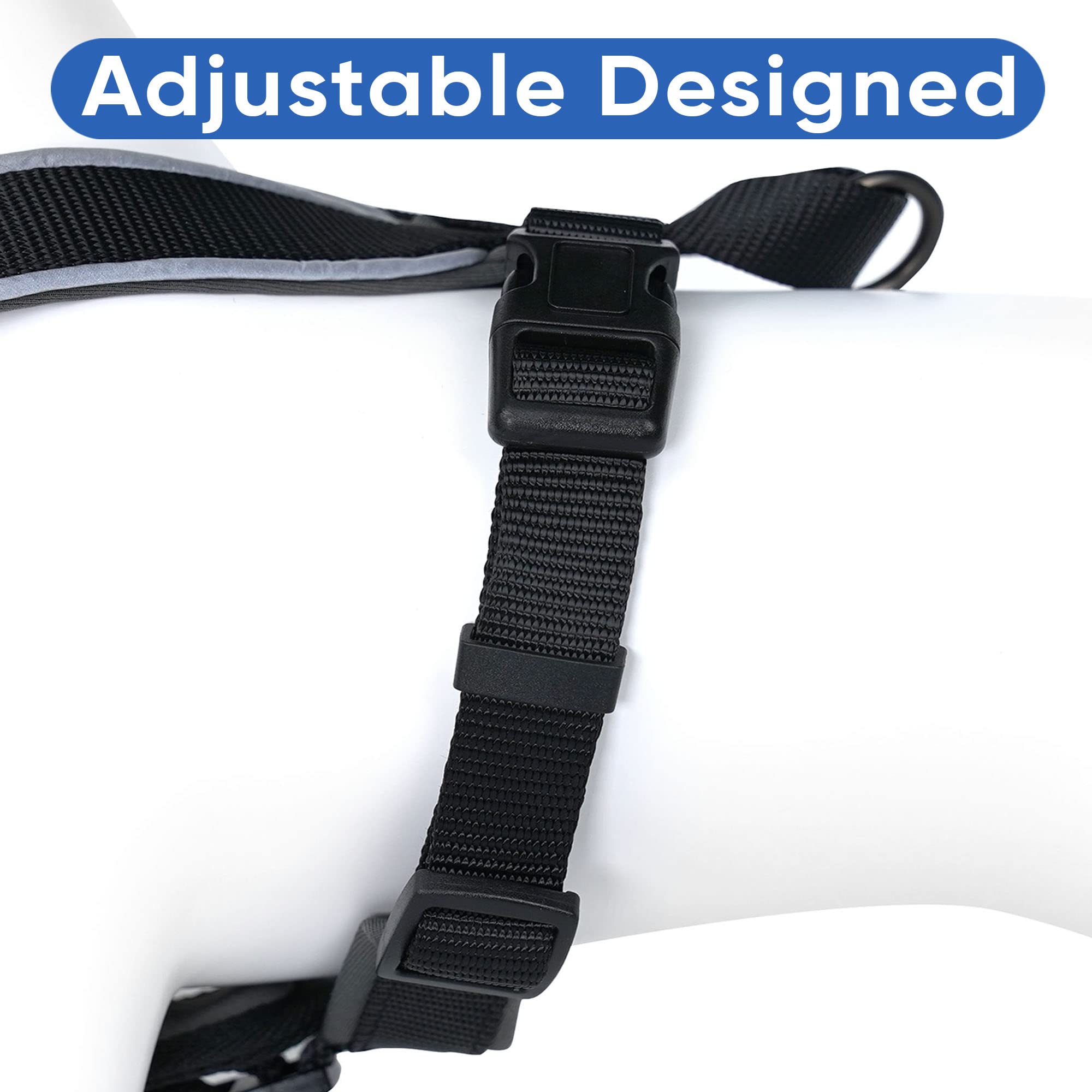 Collar a juego Pawtitas para completar el conjunto de paseo.