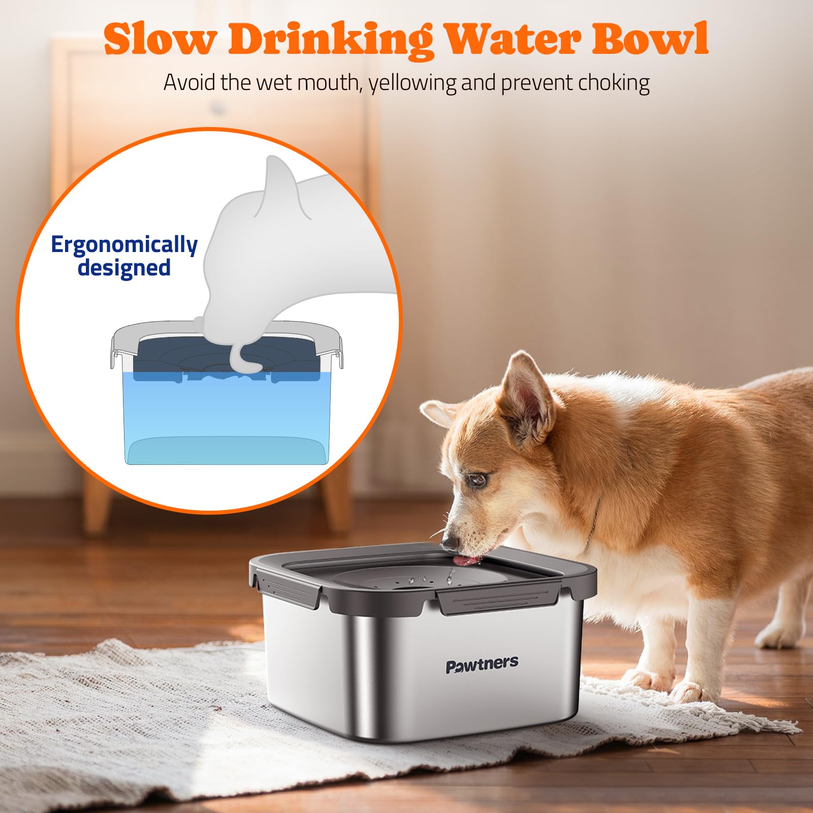 Pawtners filtro-activado mejora el sabor del agua y reduce olores para perros.