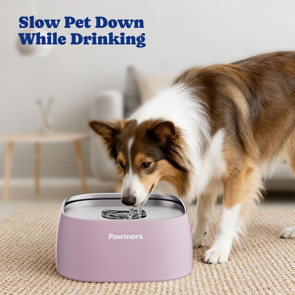 Pawtners Upgrade No Spill Bowl drenaje lento favorece consumo controlado.