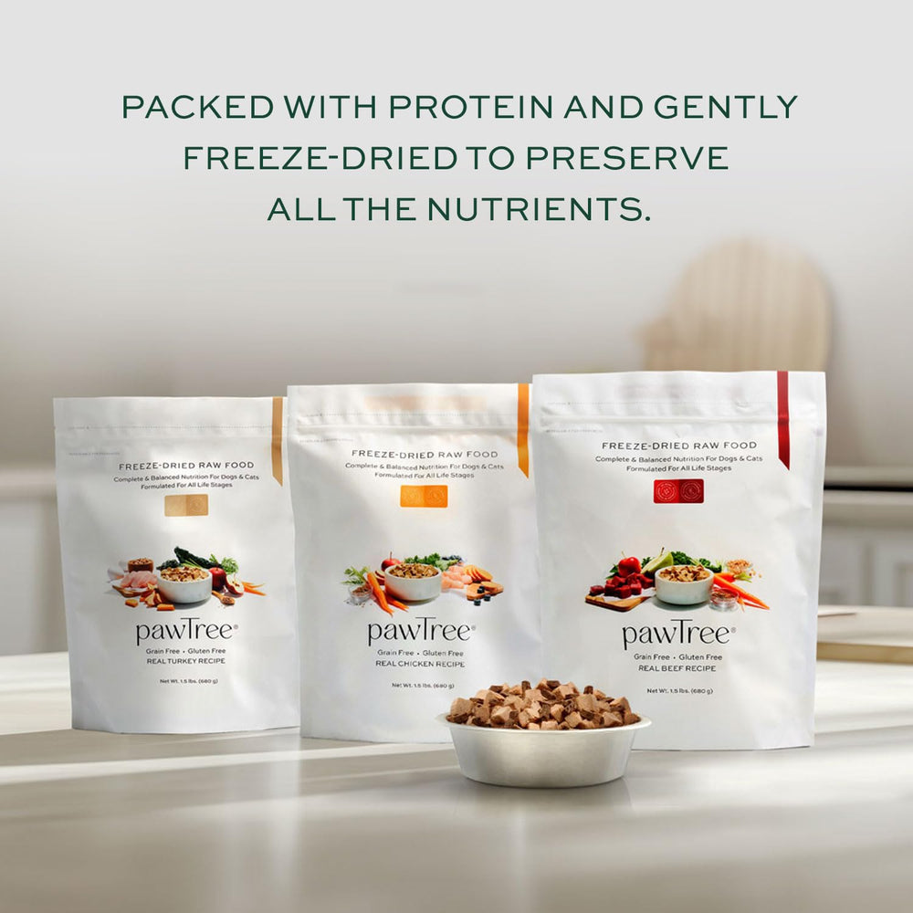 pawTree pelaje brillo: omega-3 y antioxidantes para piel sana y pelaje brillante.