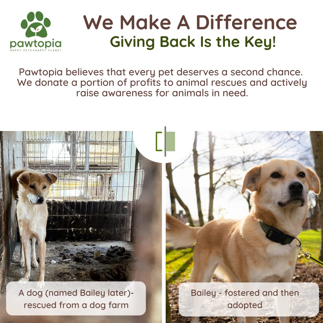 Soutien des associations et sauvetage d’animaux grâce à Pawtria.
