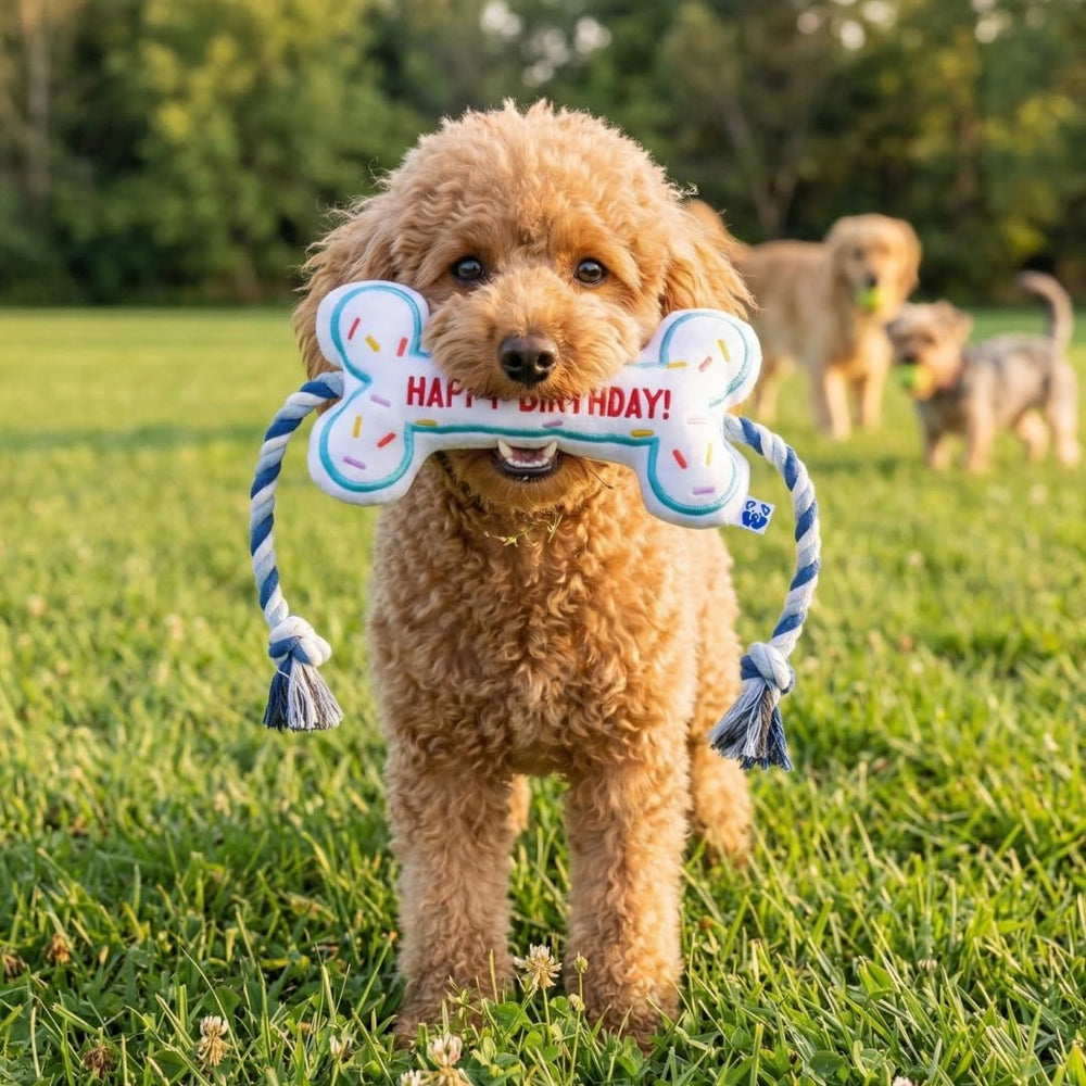 Pawty hueso-peluche-multifuncional-perro: ideal para juego, fetch y entrenamiento ligero.